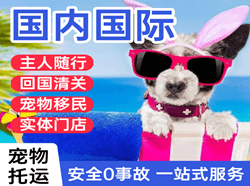 静巴航空邮寄国际宠物托运 【国